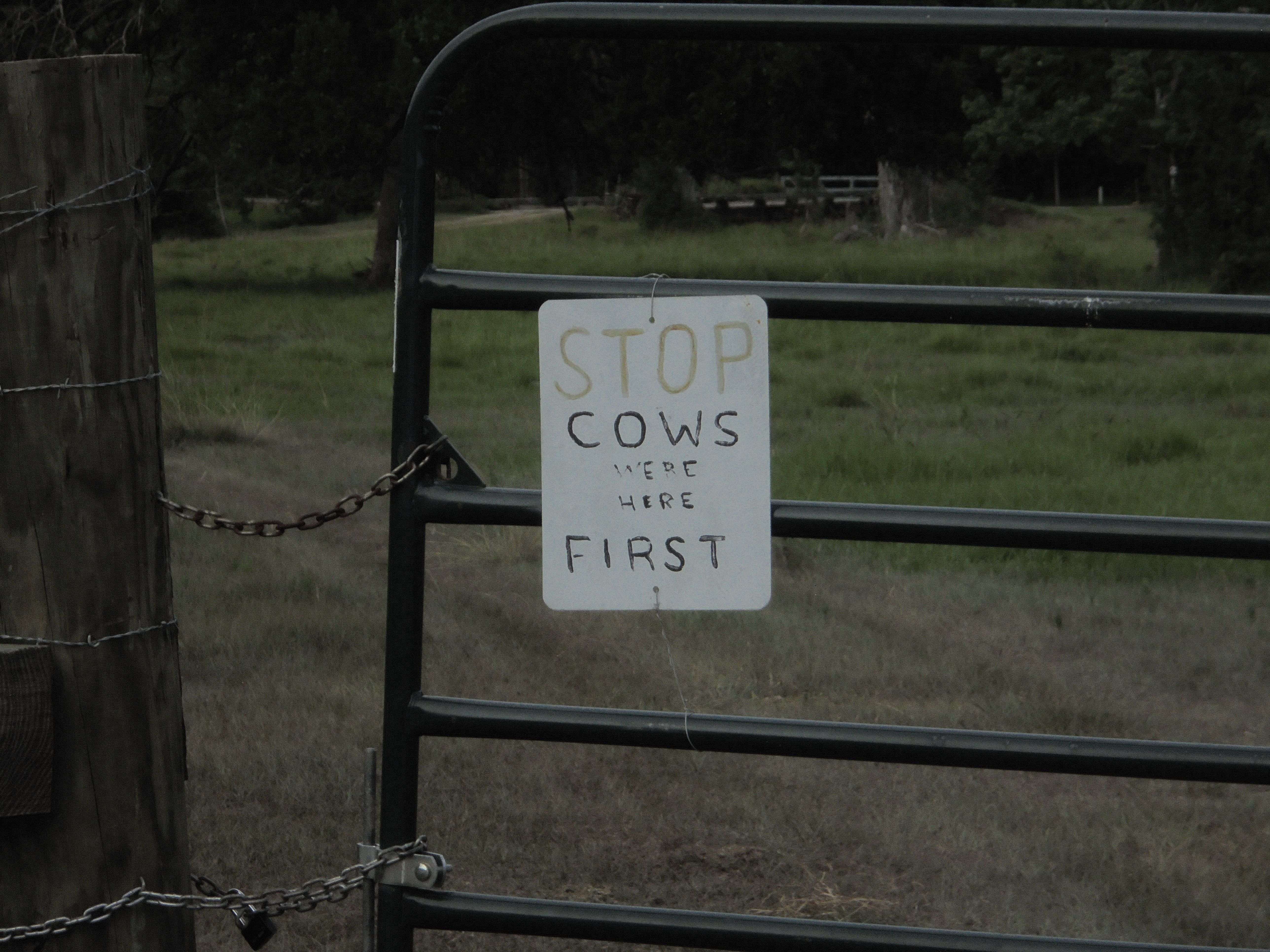 Cow Sign.JPG