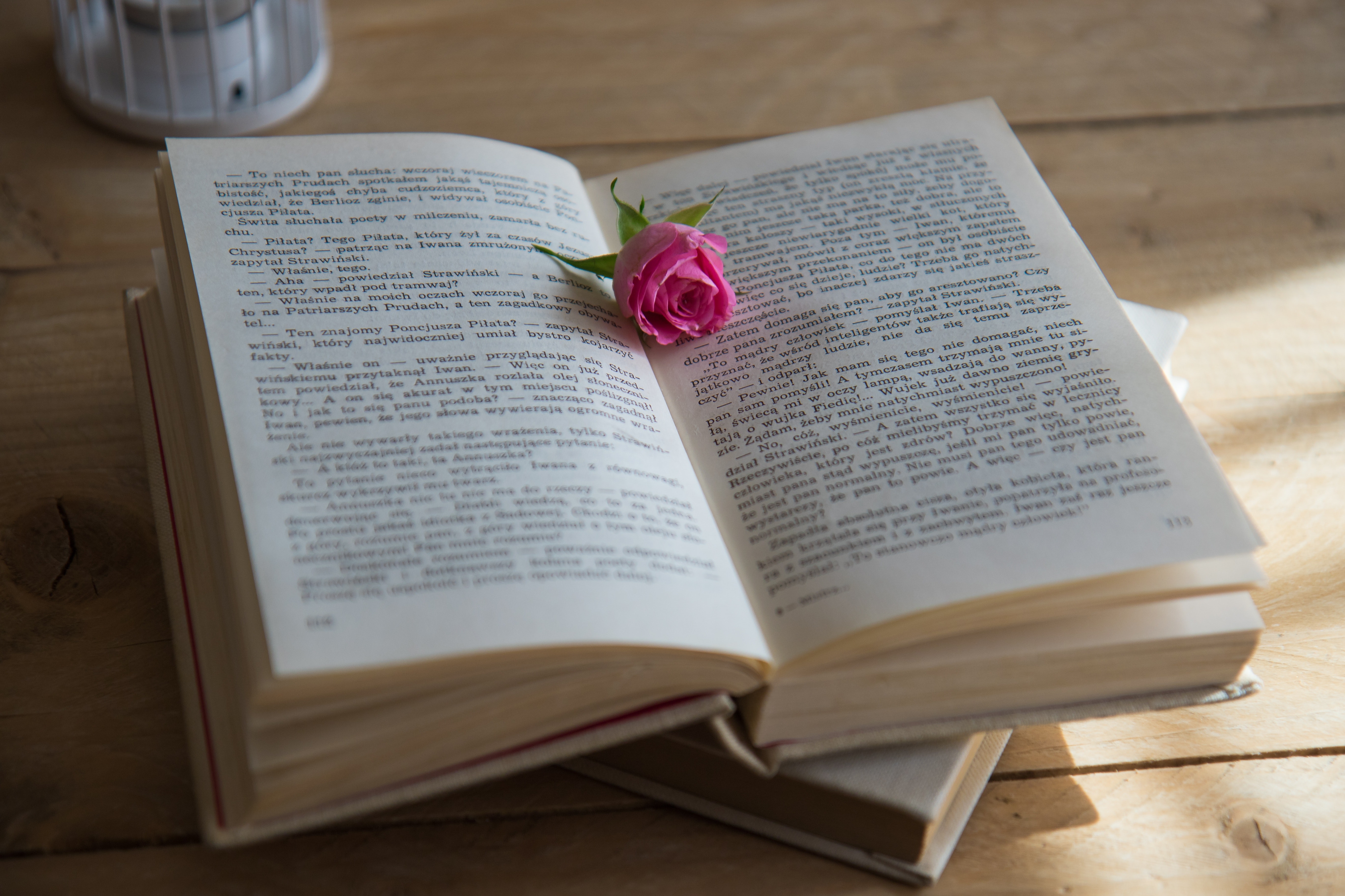 book-book-series-business-459514.jpg