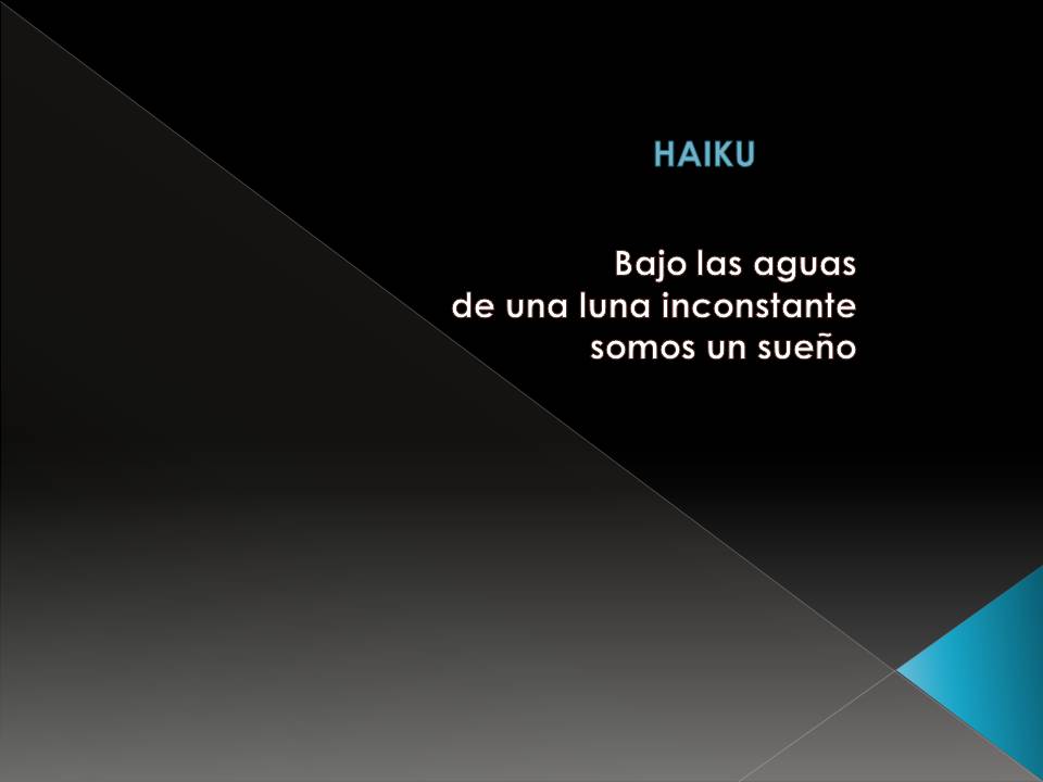 HAIKU DEKL SUEÑO.jpg