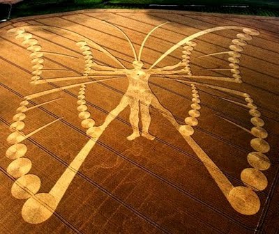 crop-circle.jpg