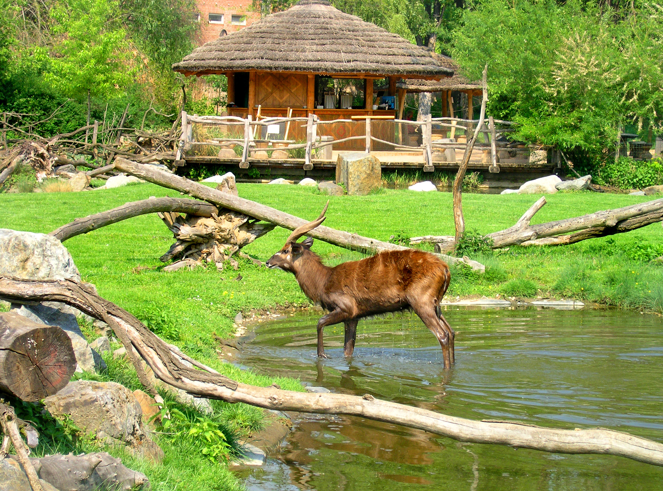 Water_world_2,_Zoo_Prague.jpg