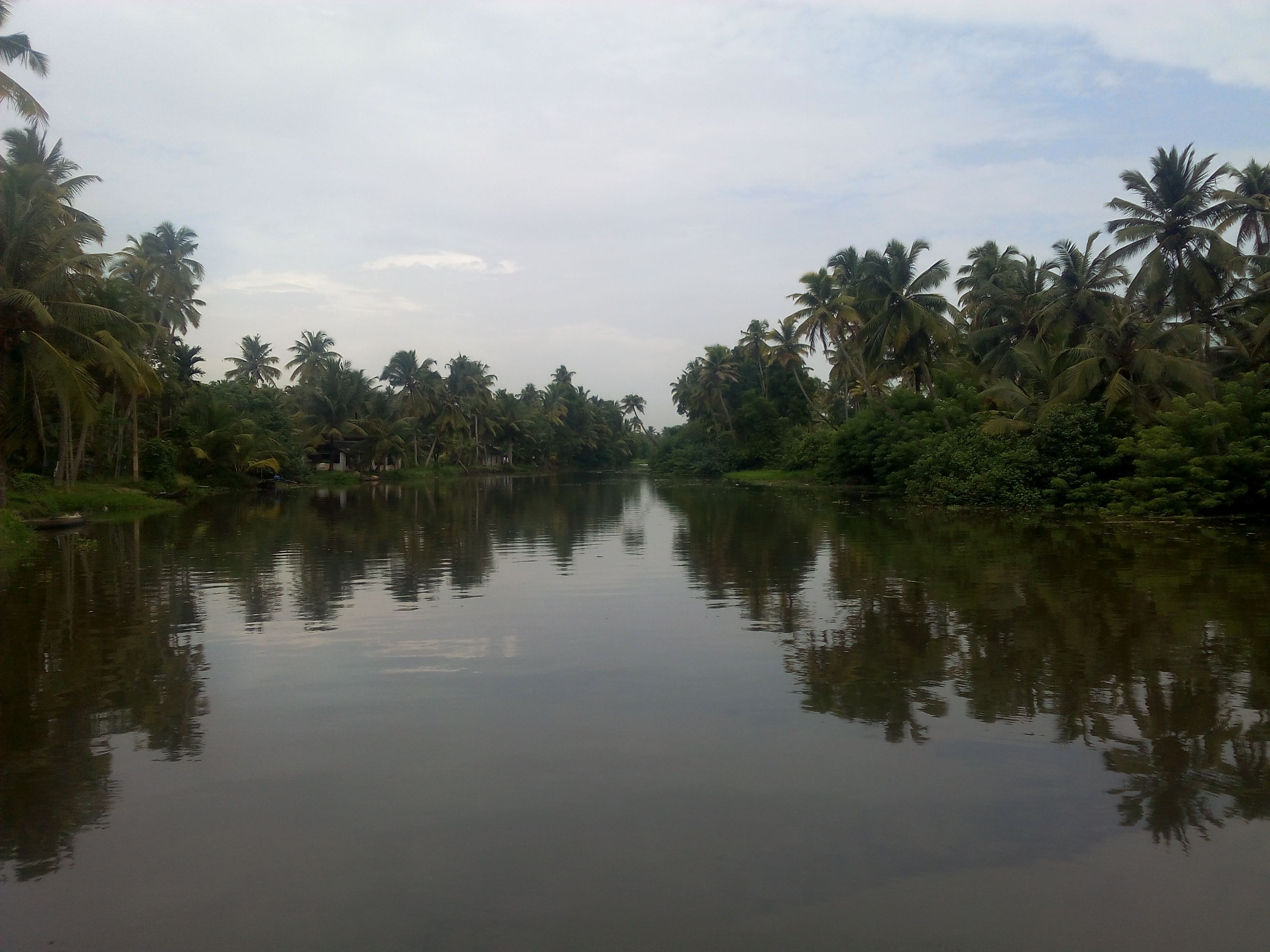IMG_20150823_090309.jpg