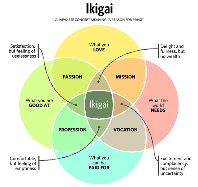 Circle Of Life Chart