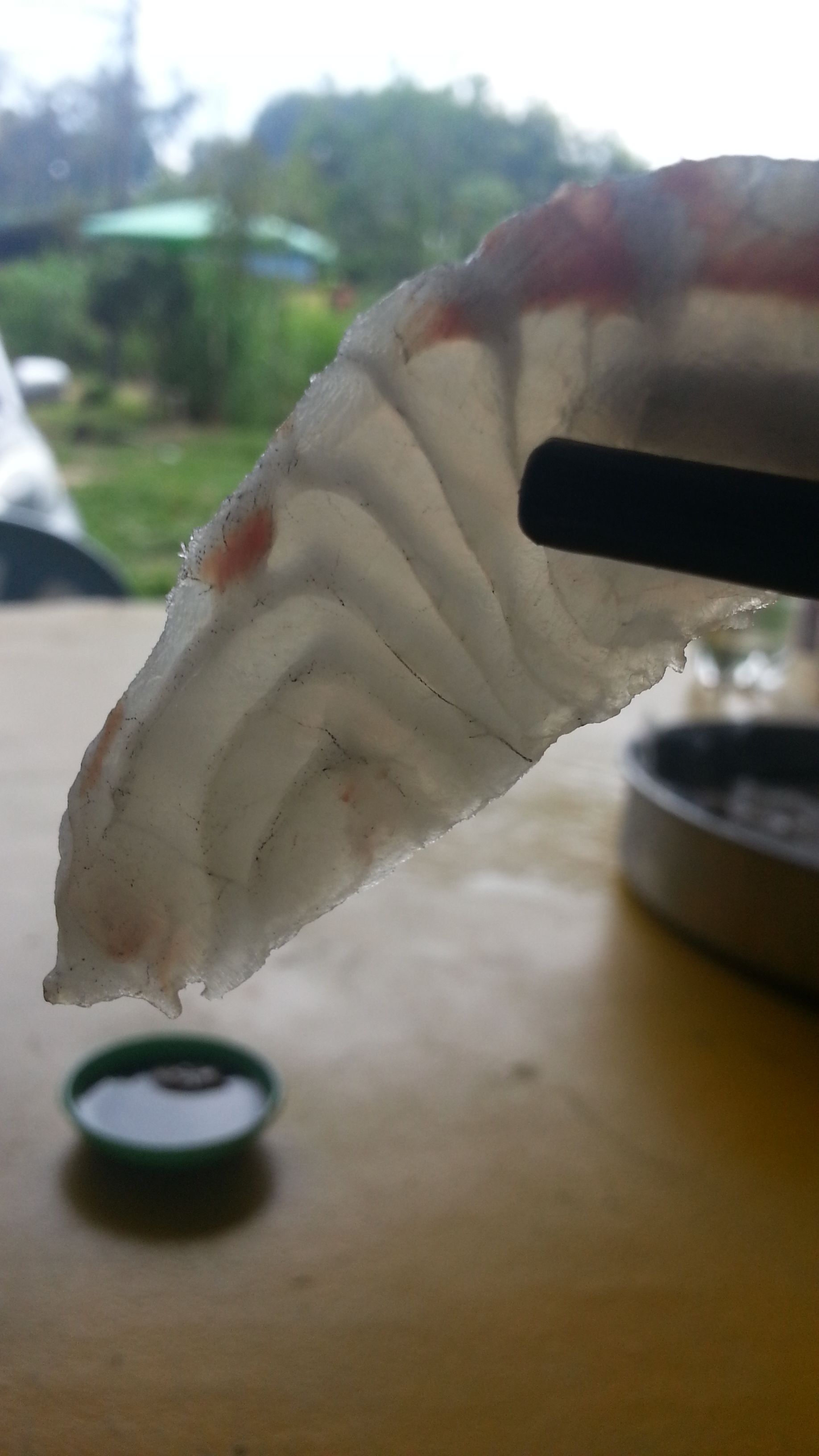 20130328_135108.jpg