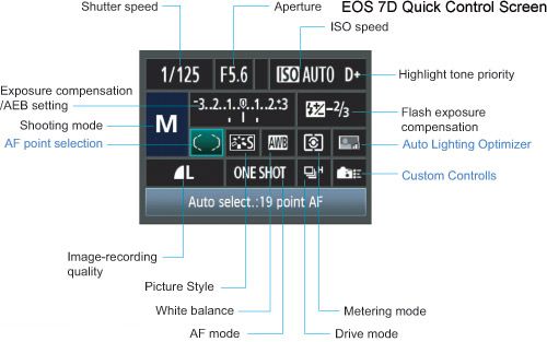 ScreendiagramDSLR101.jpg