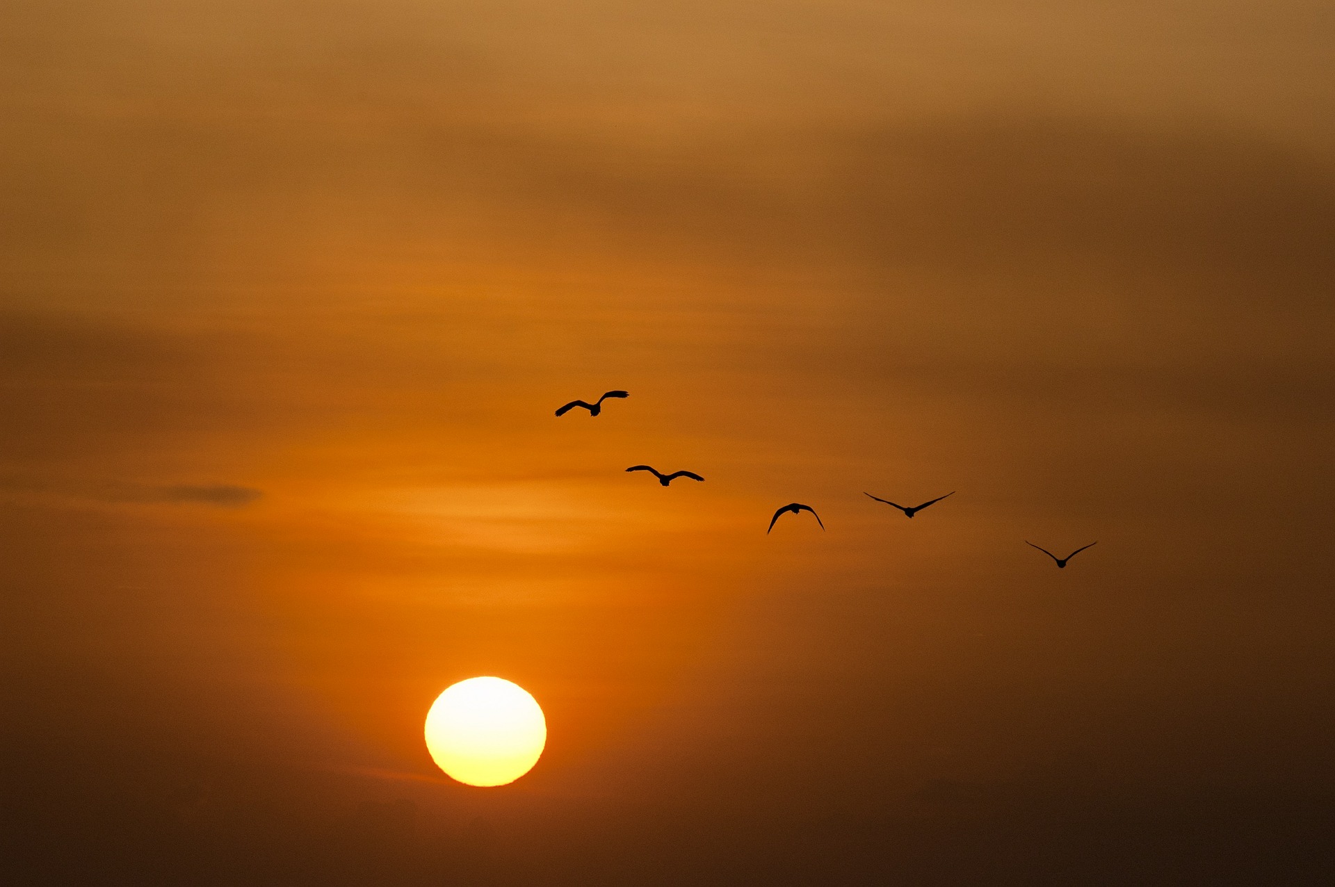 sunset-600095_1920.jpg