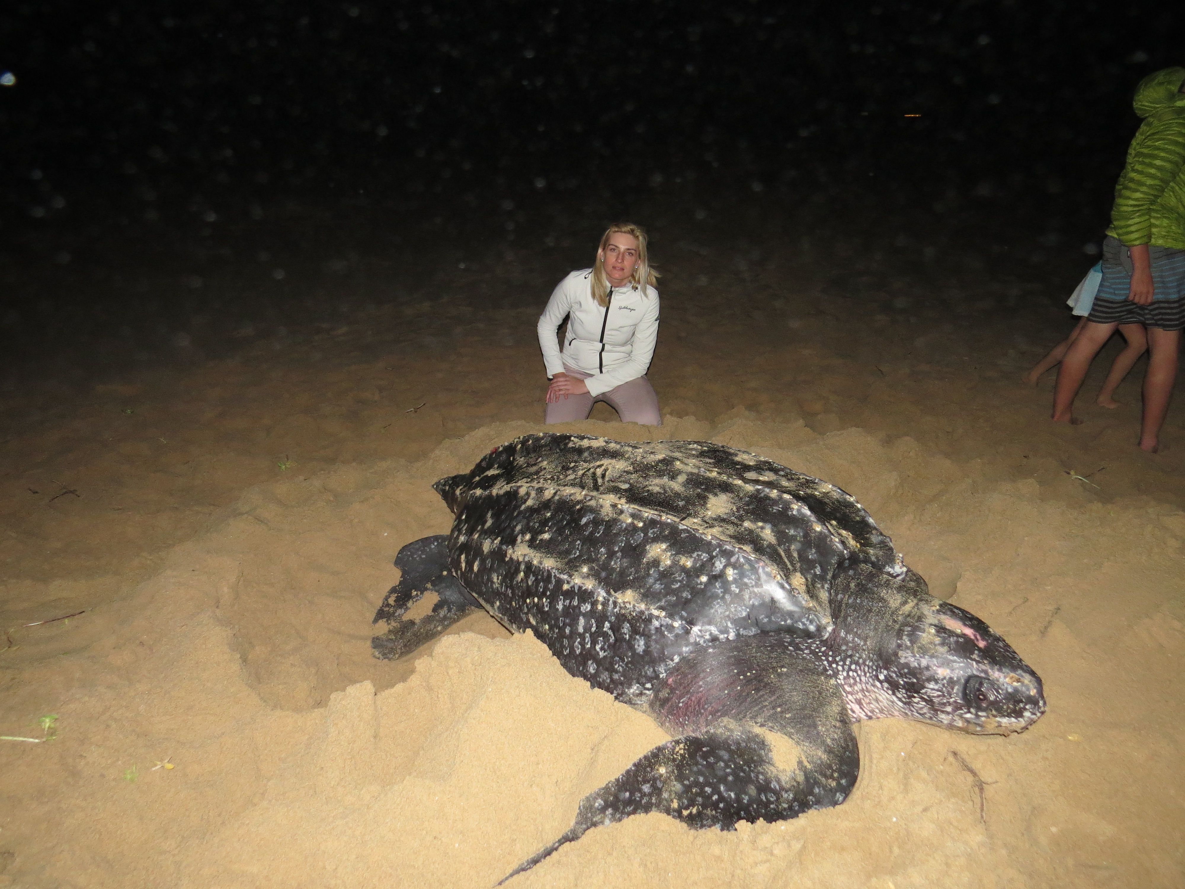 TURTLE MONITORING IN THE ISIMANGALISO WETLAND PARK [EN/PL] — Steemit