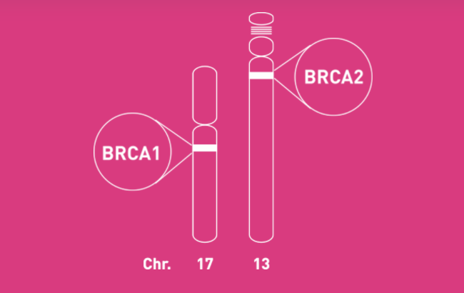 brca.png