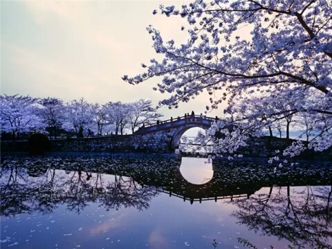 1977年冬天举行的高考 The College Entrance Examination Held  in the Winter of 1977