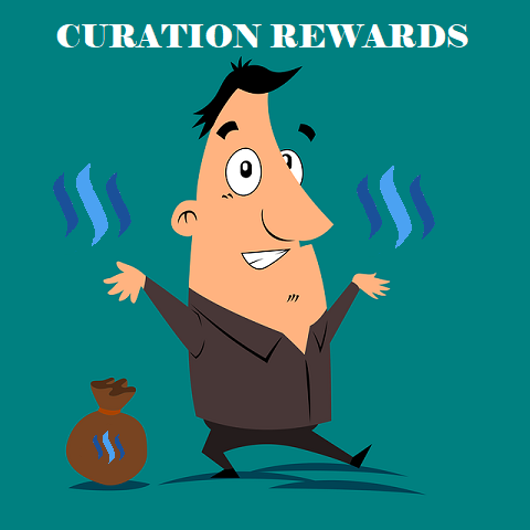 Curation Rewards.png