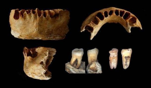 Ancient-Human-Fossils-china.jpg