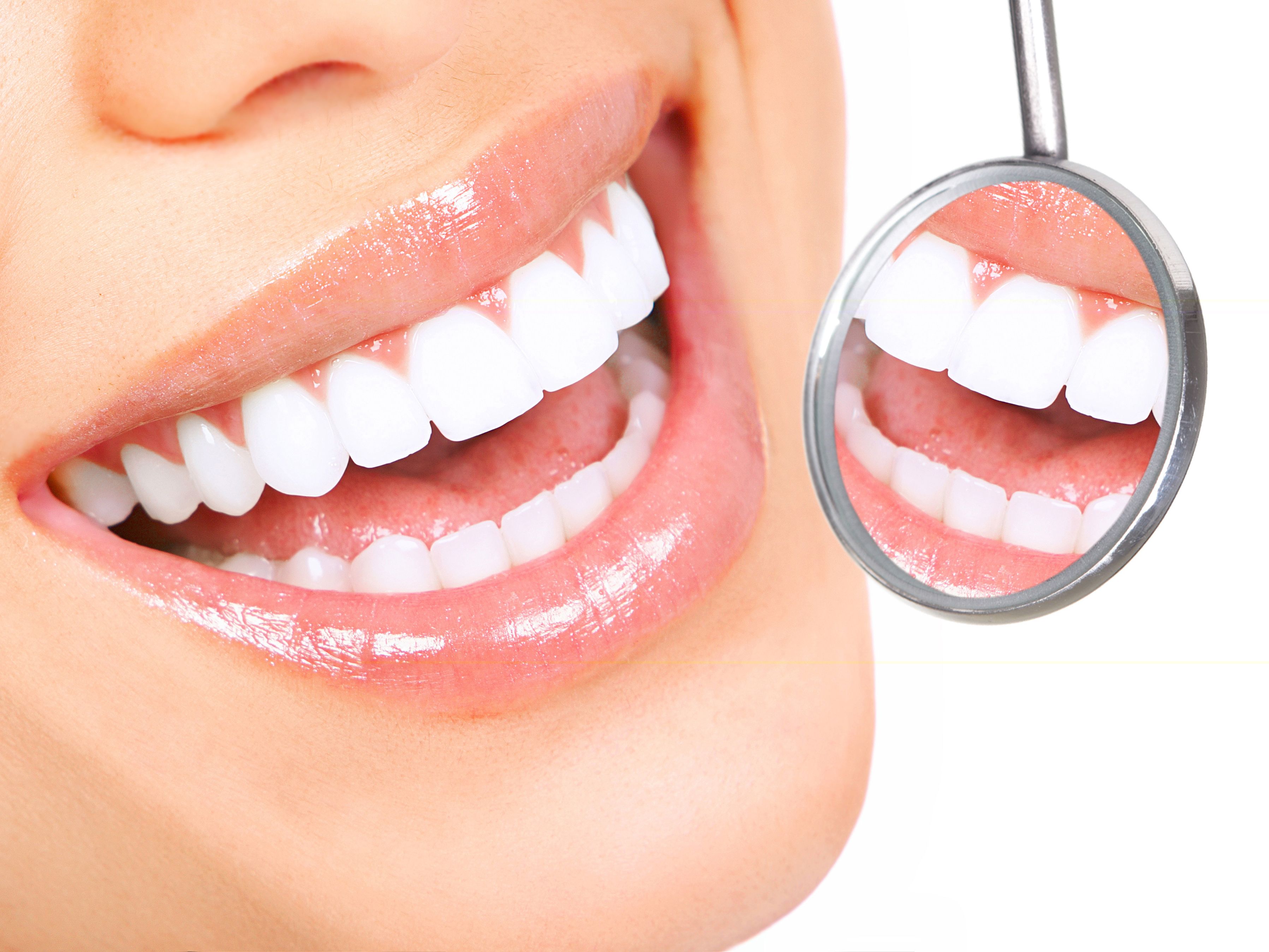 dentition