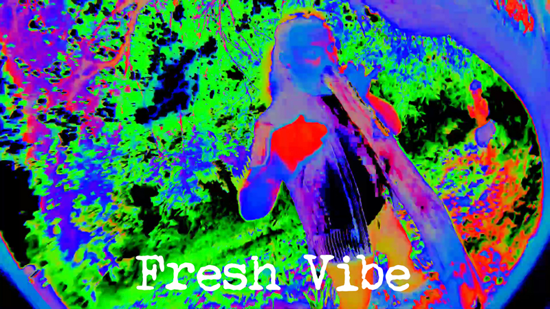 Fresh-Vibe-Steemit-7018.jpg
