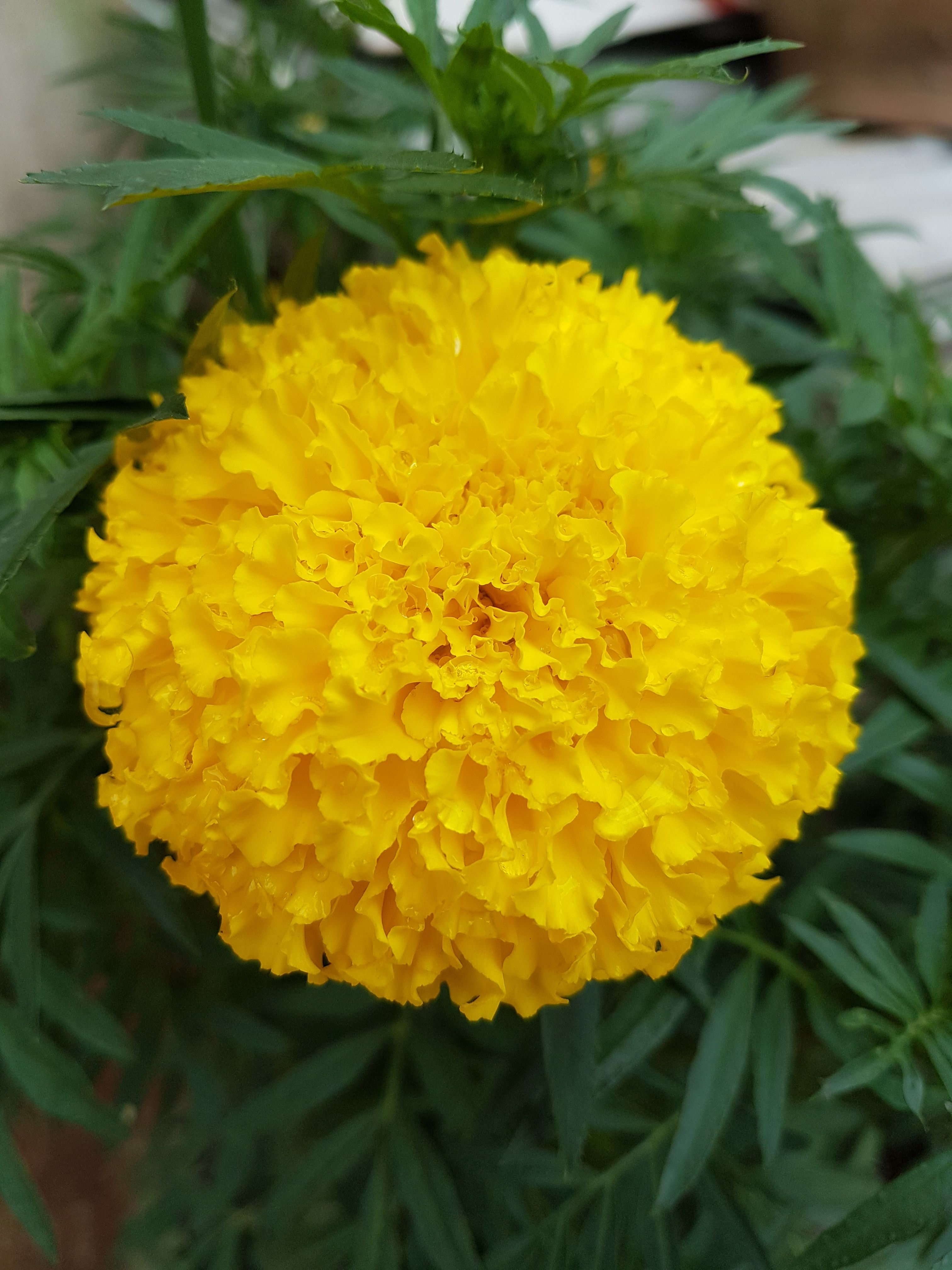 20170930_123953.jpg