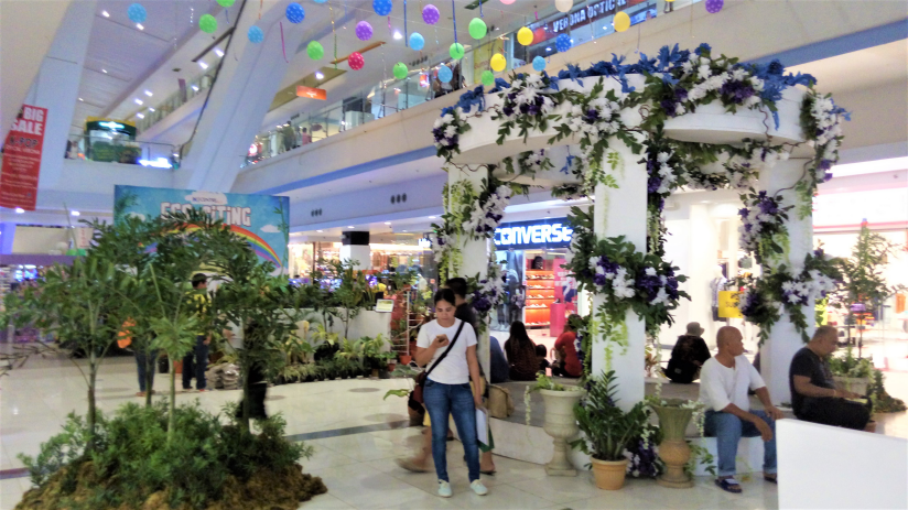 Elegant Indoor Plant Exhibit In J Centre Mall Mandaue Cebu City