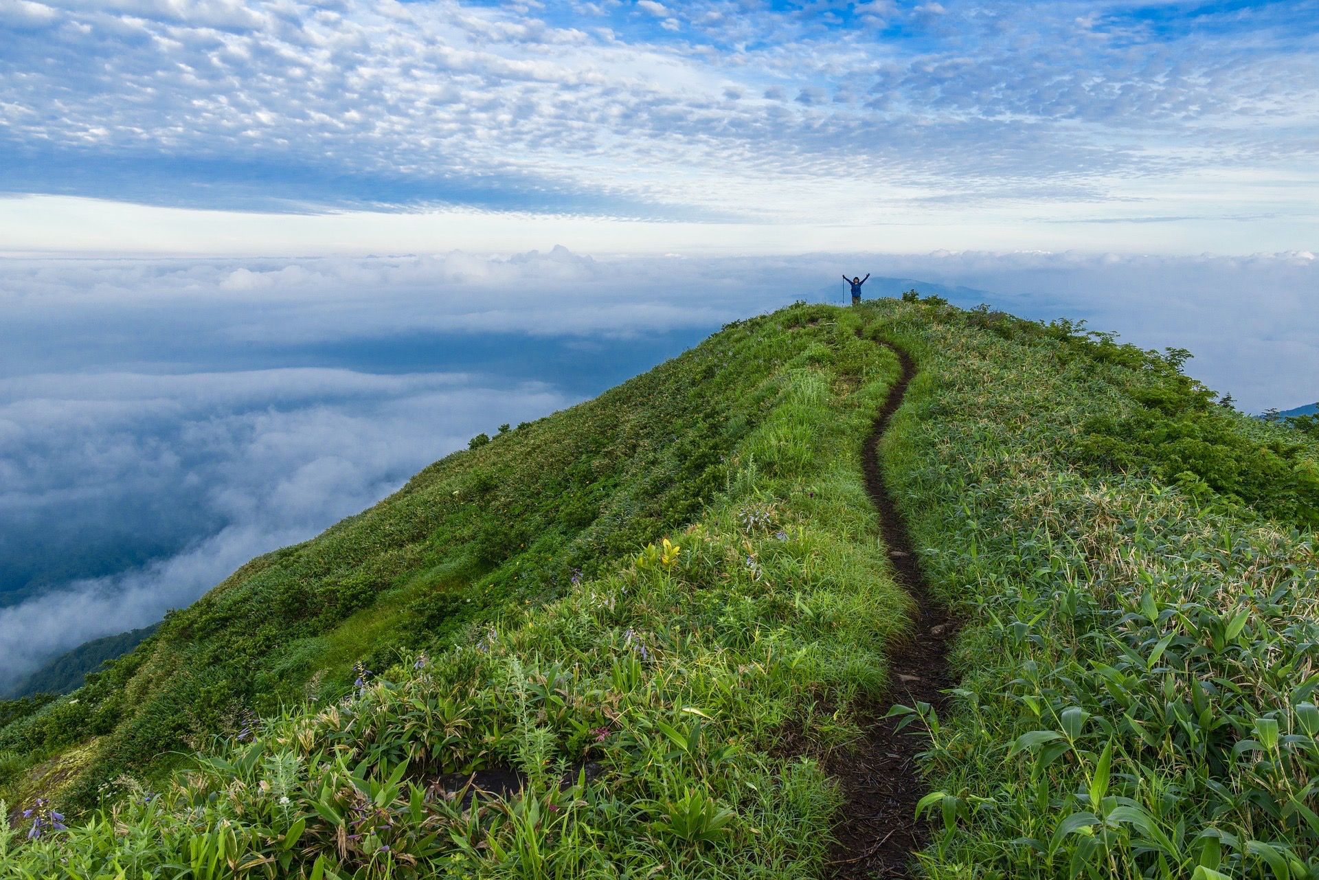 the-path-on-the-summit-beautiful-mountain-freedomain.jpg