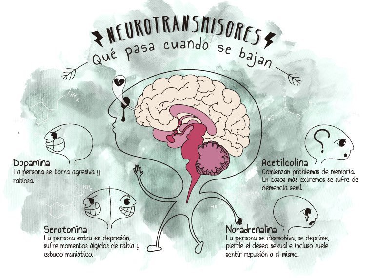 neurotransmisores.jpg