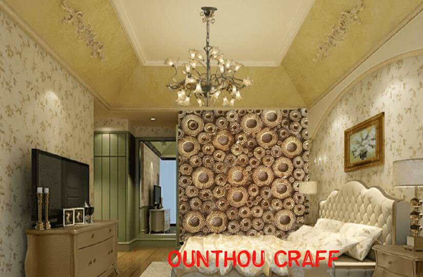 cameff_1498499169184.jpg