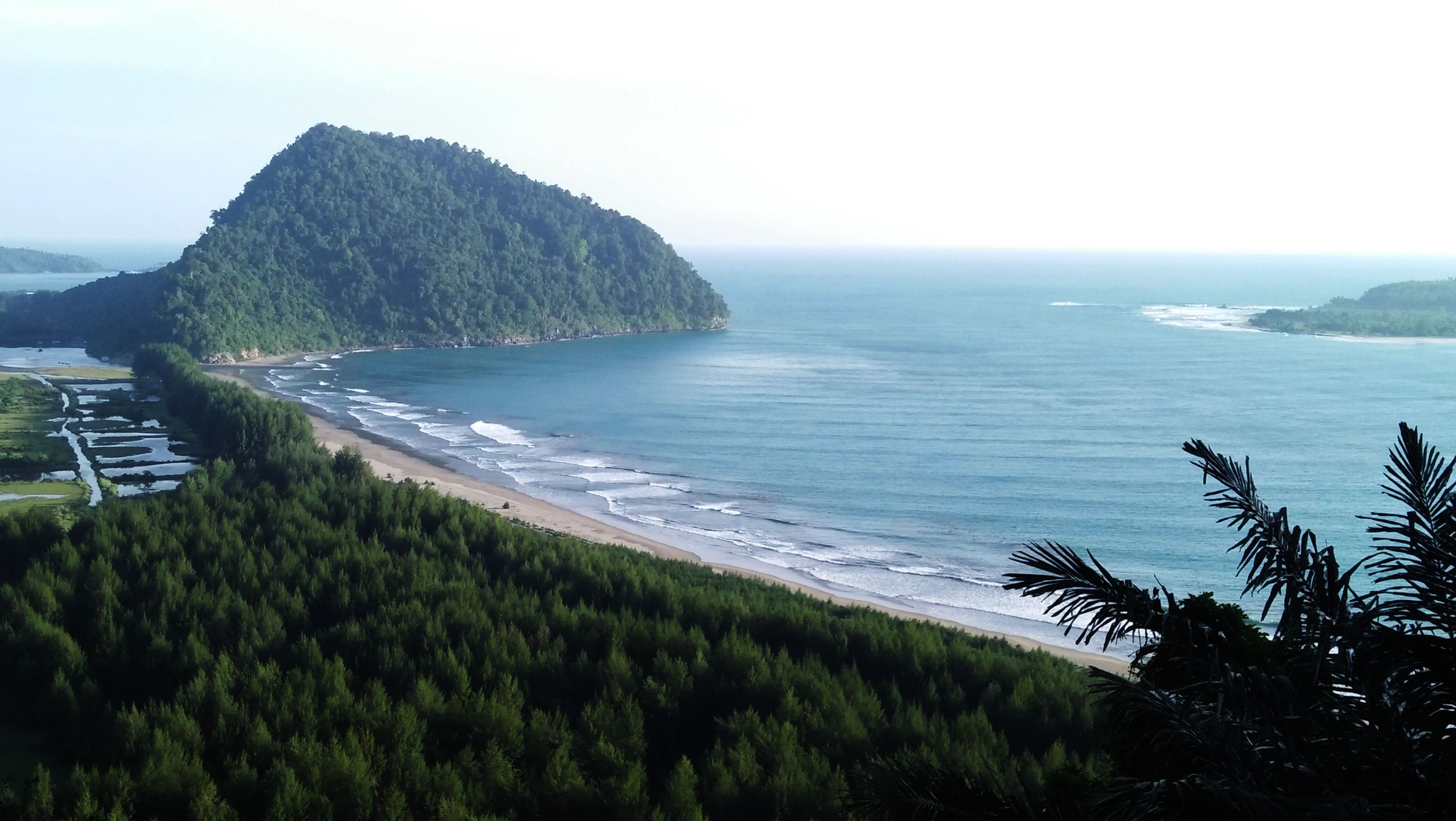 lanscape4.jpg