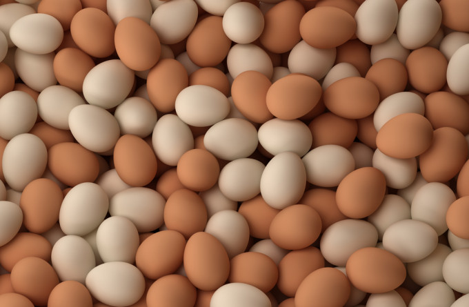 Chicken Eggs 1.jpg