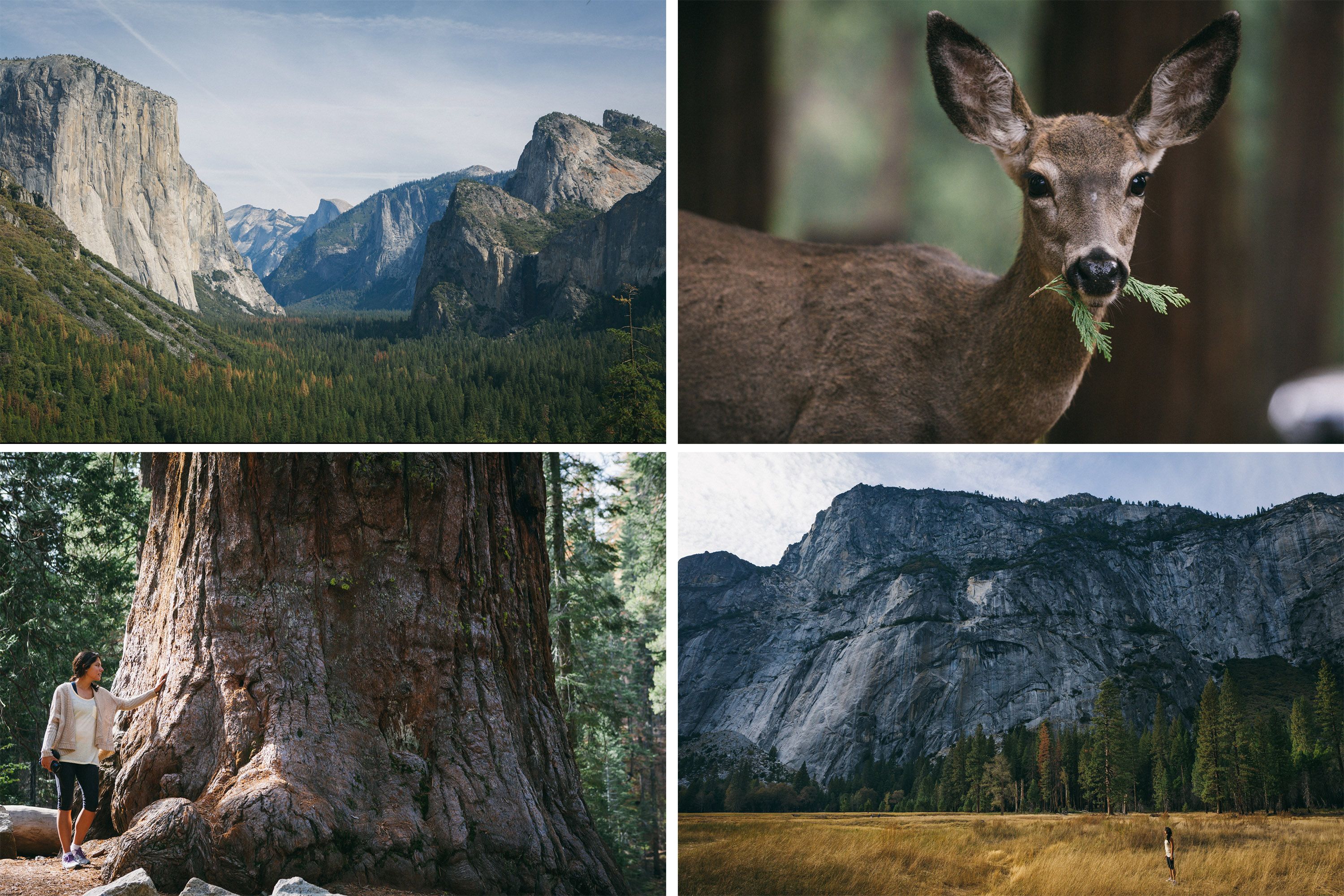 #1 Yosemite National Park, California, USA