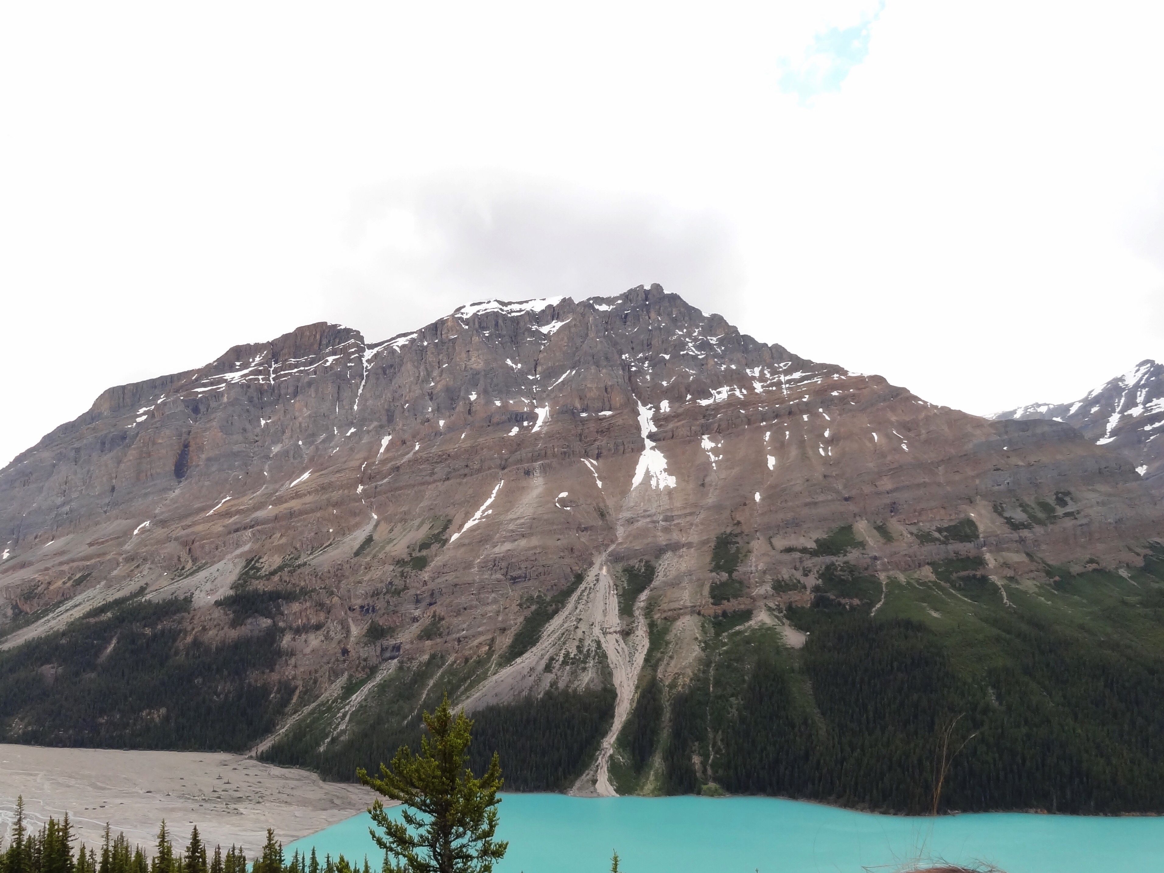 DSC00211.JPG