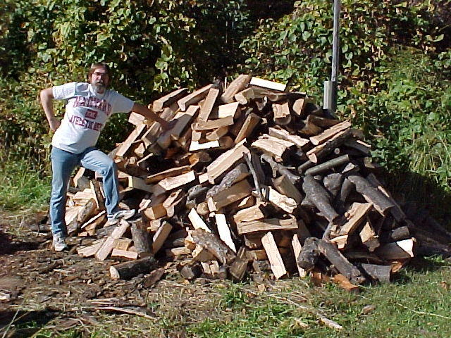 David.Woodpile6.Oct.00.jpg