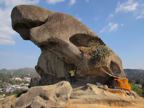 the-toad-shaped-rock.jpg