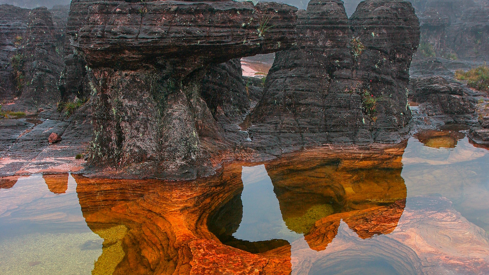 Mt Roraima, Venezuela 1920x1080.jpg