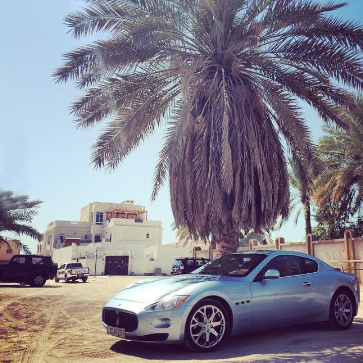 when-palm-trees-arent-big-enough-to-provide-shade-to-all-of-your-maserati-car.jpg