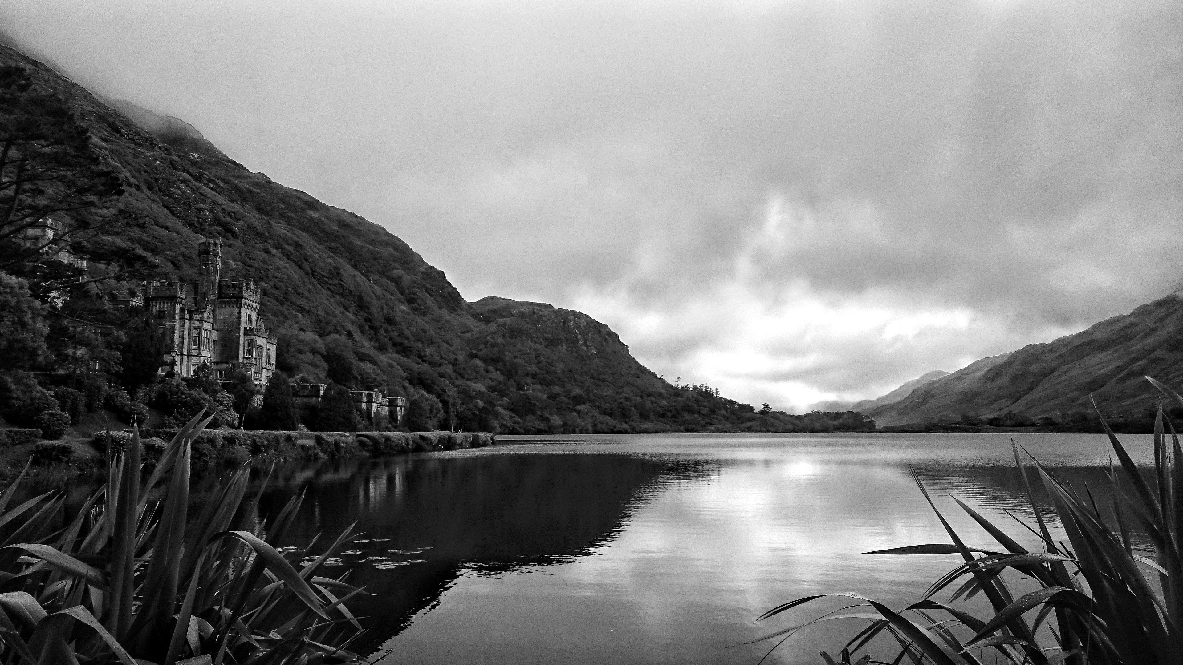 DSC_0197-01.jpeg