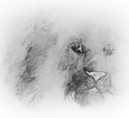 lion.png