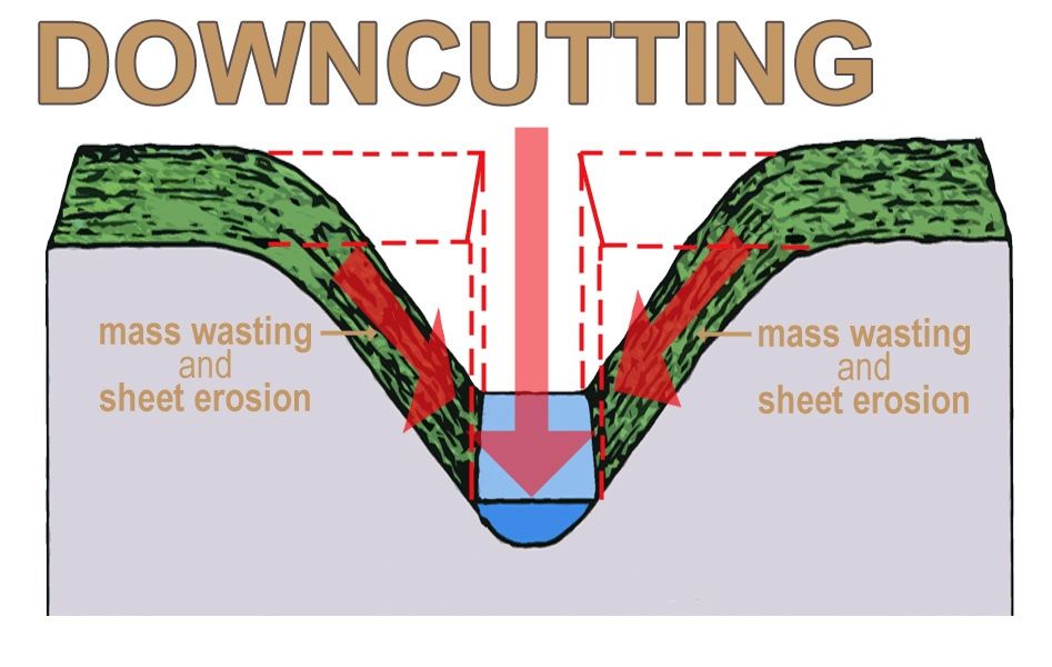 How a river grows Steemit