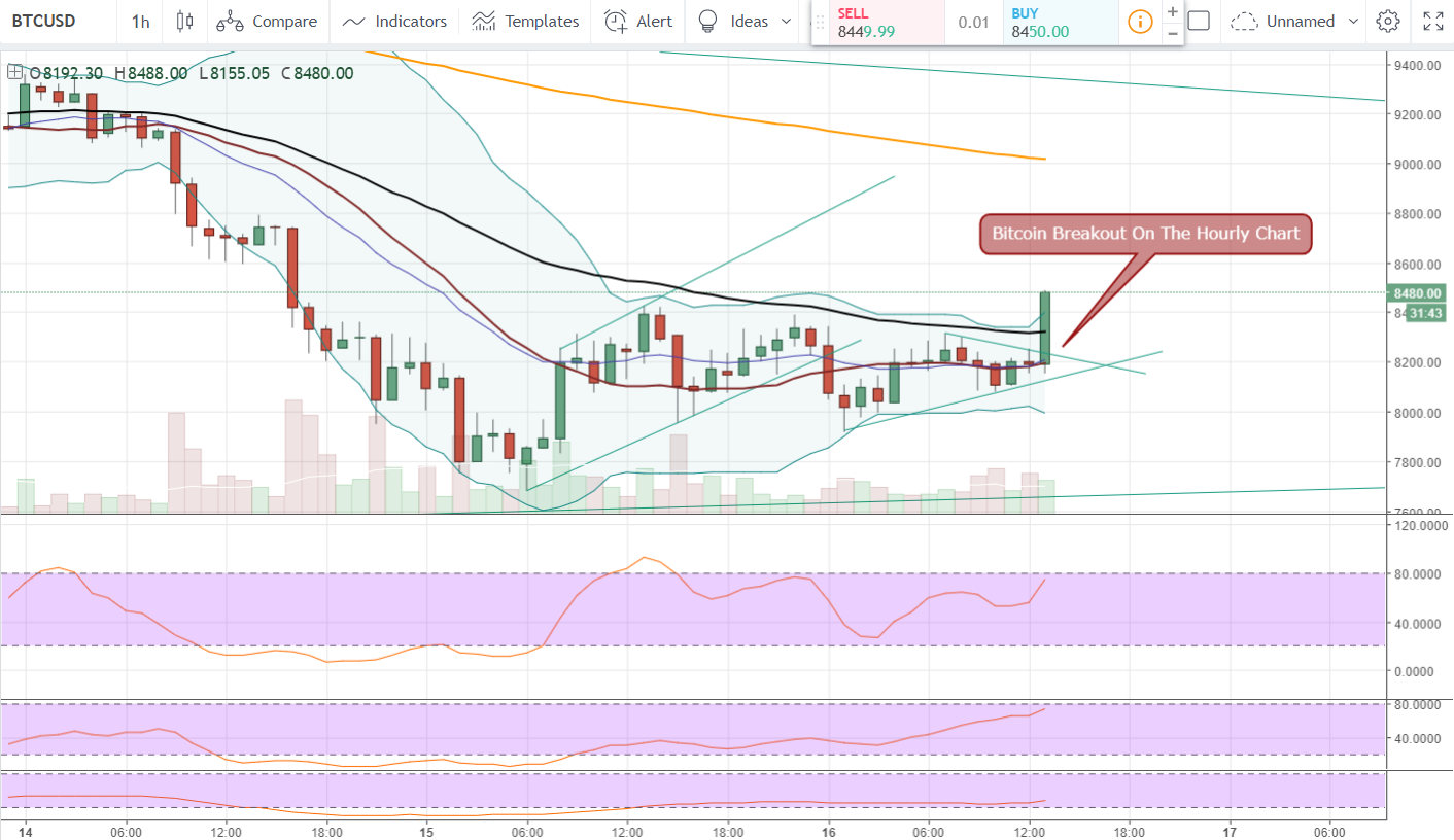 FireShot Capture 1095 - BTCUSD_ 8479.00 ▲+2.59% — Unn_ - https___www.tradingview.com_chart_AxIWekrr_.png