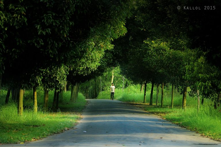 11894607_743948579067026_9065703801590600358_o-768x512.jpg)
![