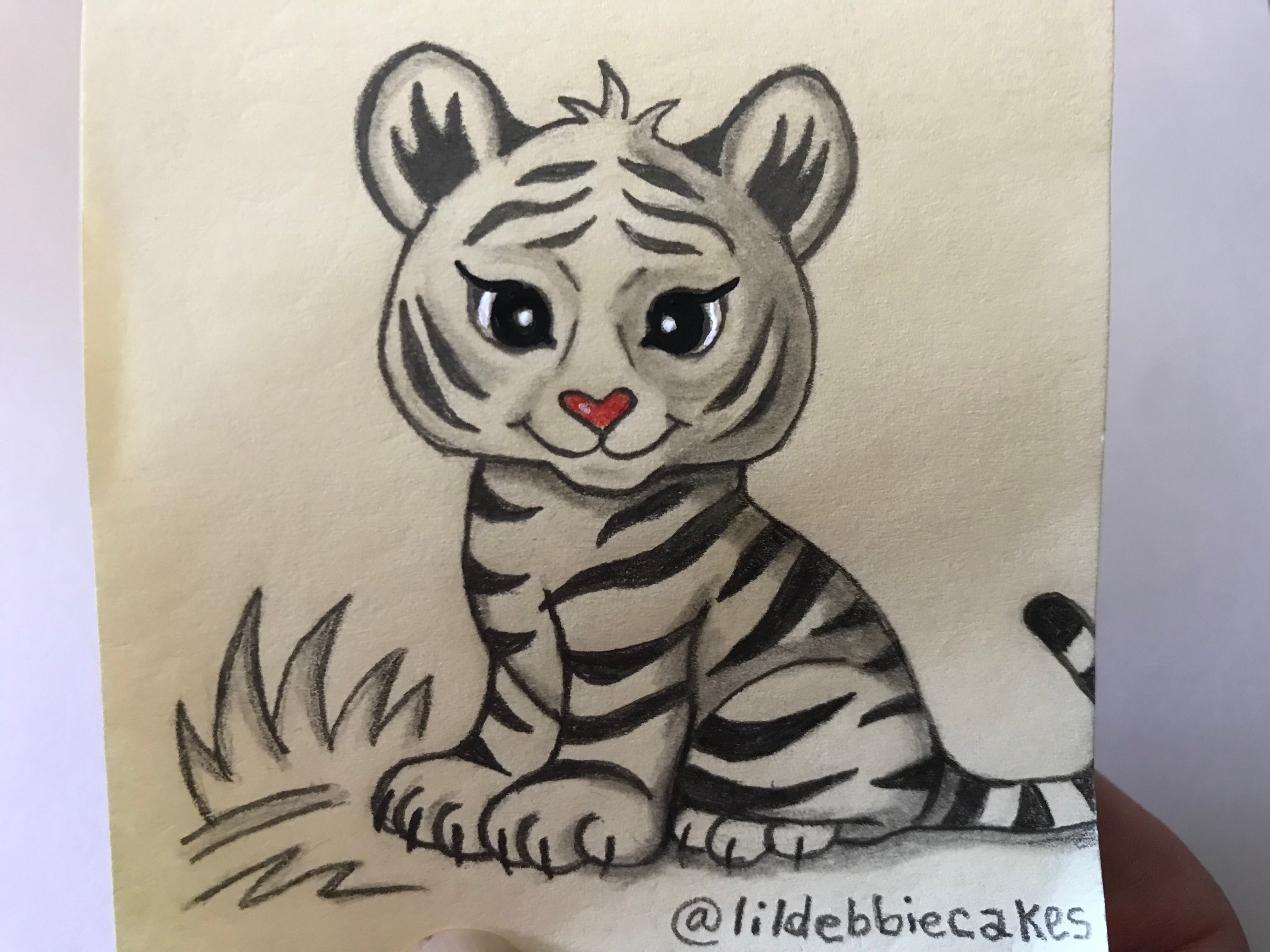 Maya The Tiny Tiger “A Second Generation Tiger” — Steemit, image size:4032x3024