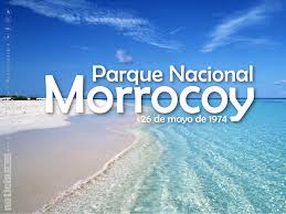 morrocoy fundacion.jpg