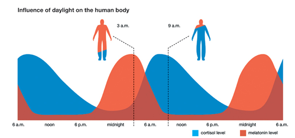 dAsYZgASkaVkaeph9UaP_e4IP5OUvRcmtCznpQzTA_alex-fergus-coaching-light-cycle-circadian-rhythm-cortisol-melatonin_grande.jpg