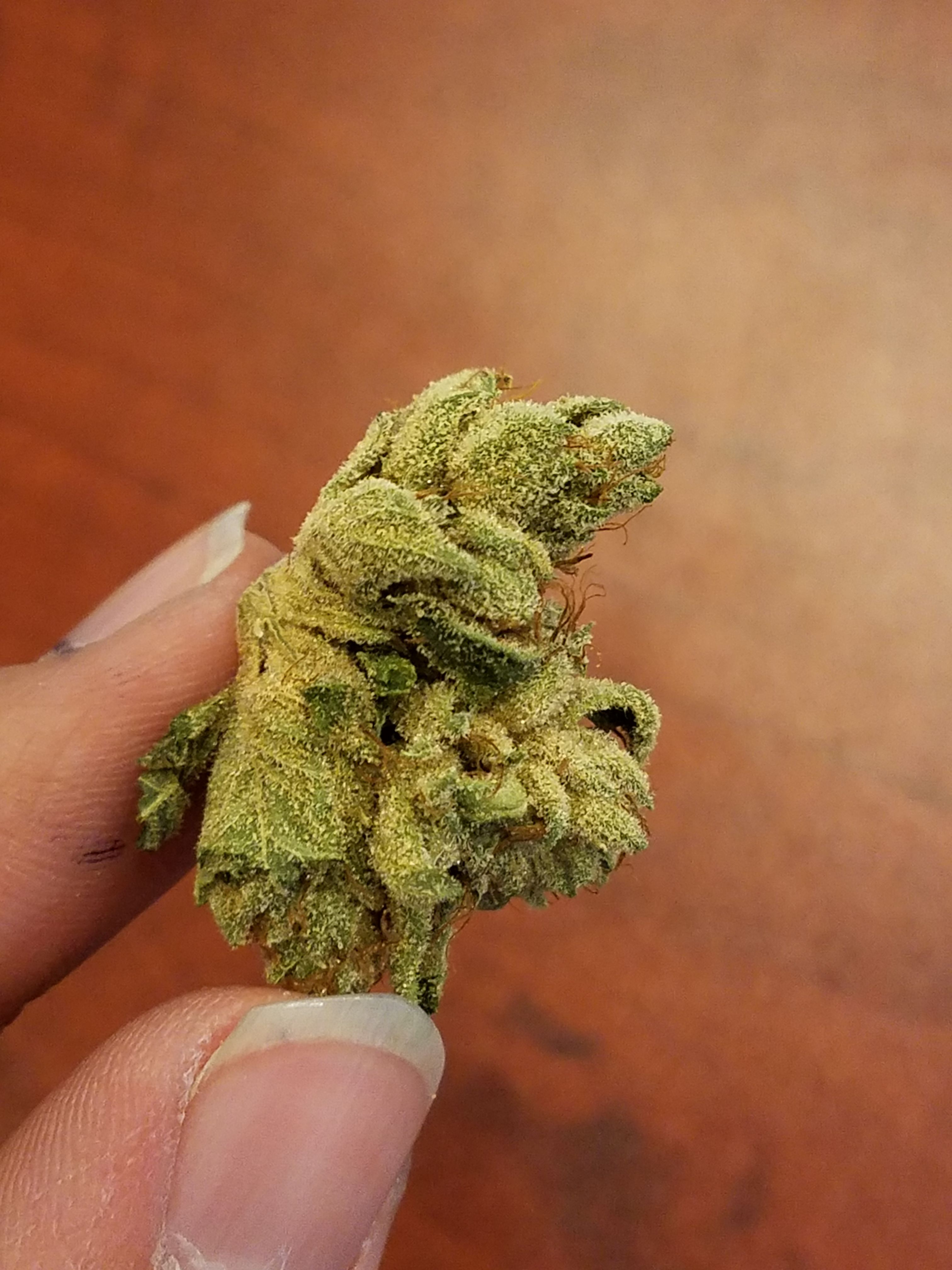 BUD SKYWALKER 20170520.jpg