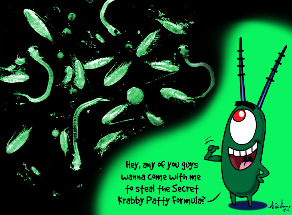 Plankton_Meets_Plankton_by_athenatt.jpg