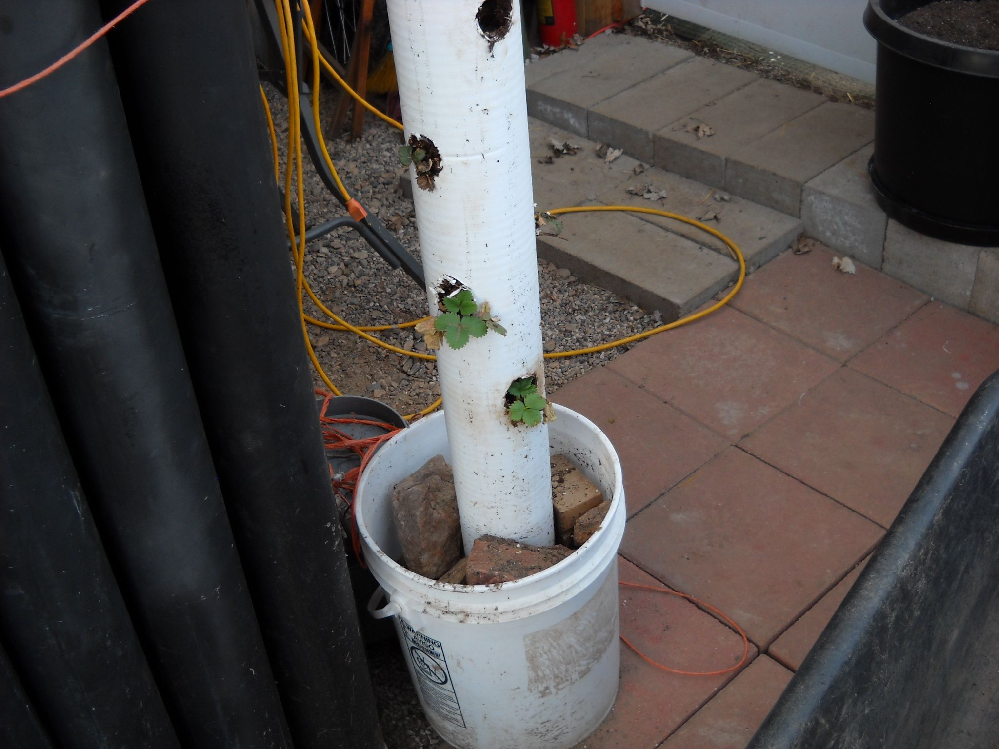 DSCN8661.JPG