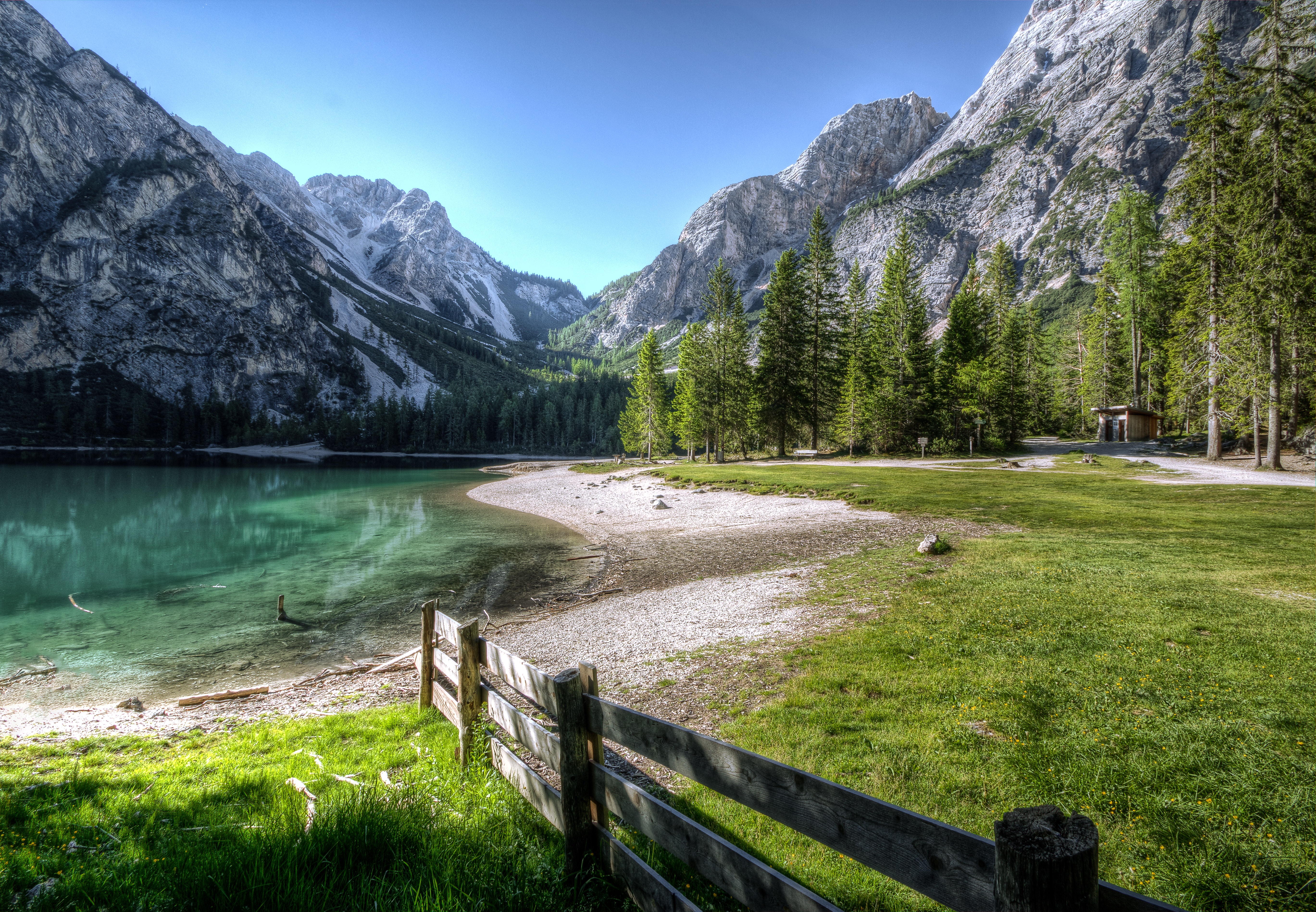 conifer-fence-grass-534164.jpg