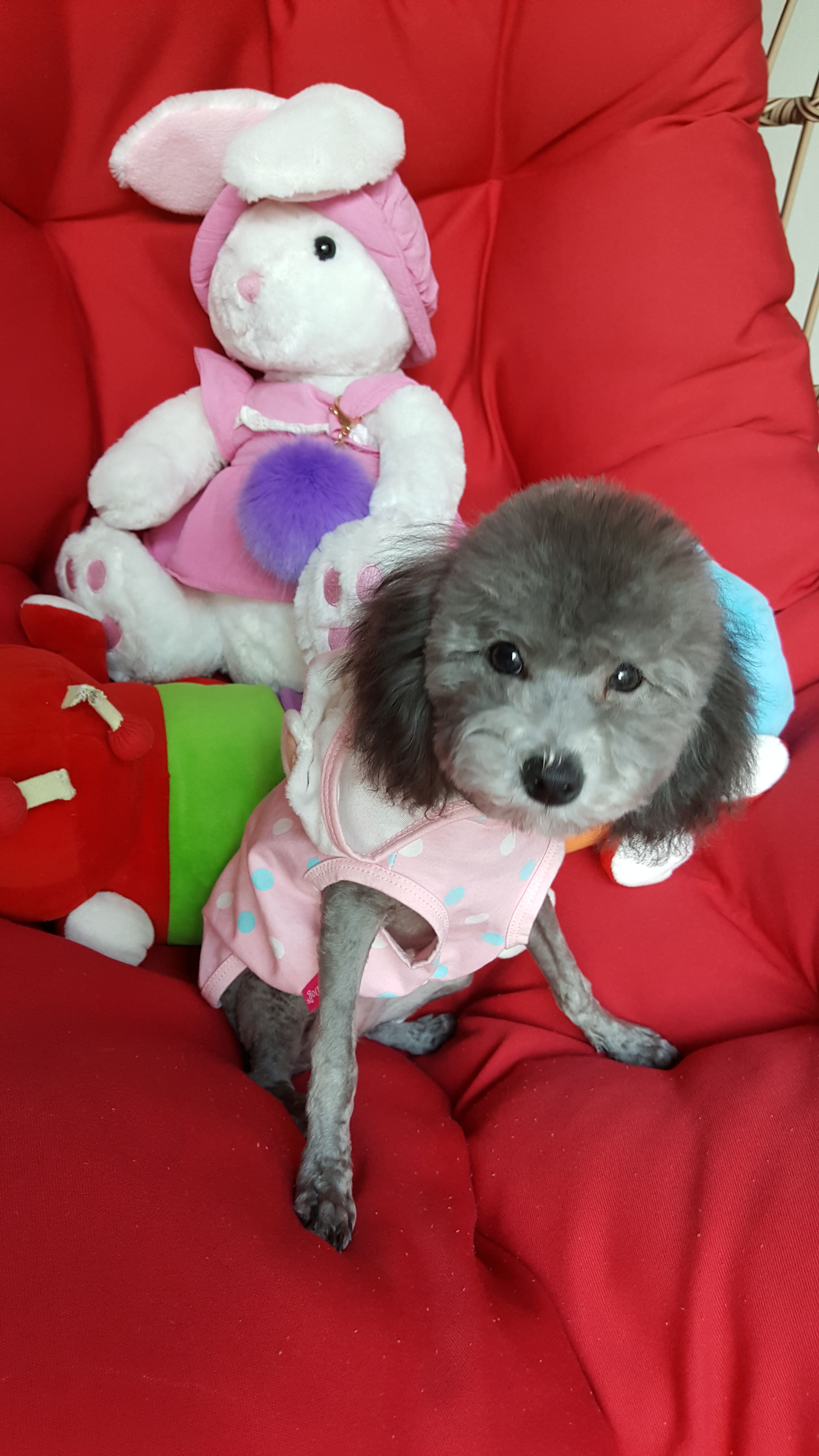 20180317_165018.jpg
