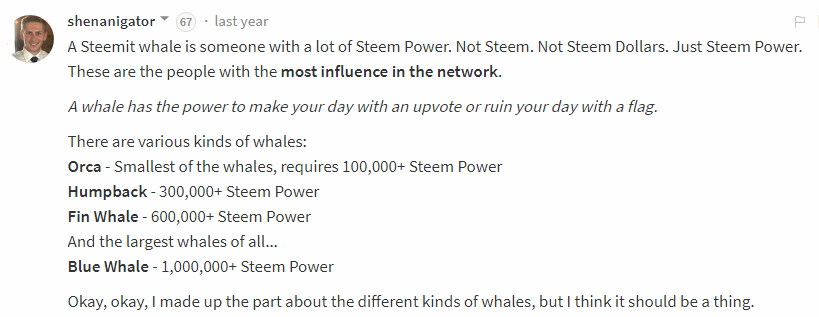 whale.png