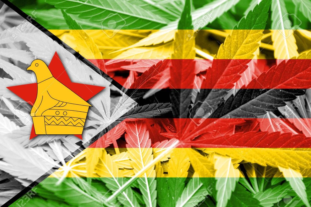 37321846-zimbabwe-flag-on-cannabis-background-drug-policy-legalization-of-marijuana.jpg