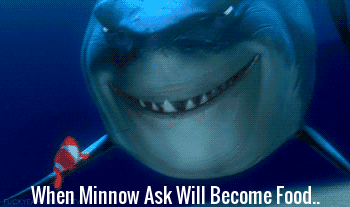 When Minnows Ask Will Become Food...gif