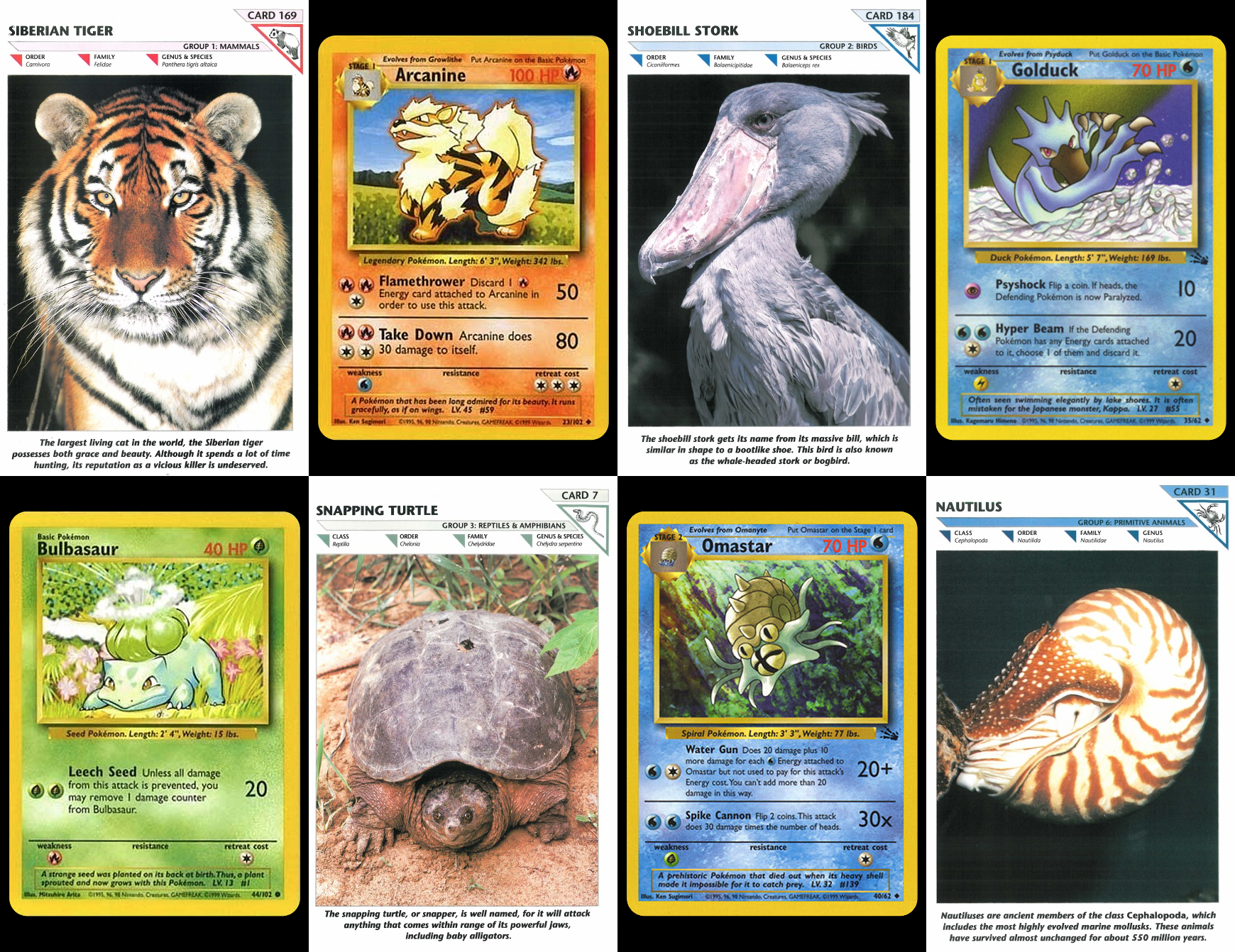 WildlifeFactFileplusPokemonCards.png