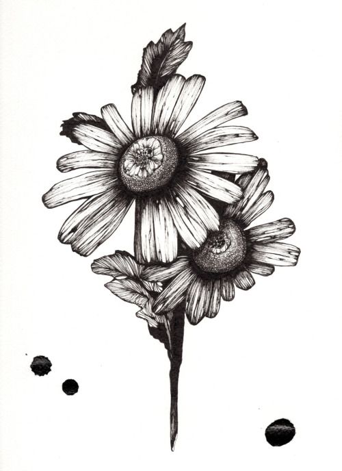 07f631130accb86f5ede1ed74c803032--flower-drawing-tumblr-flower-drawings.jpg