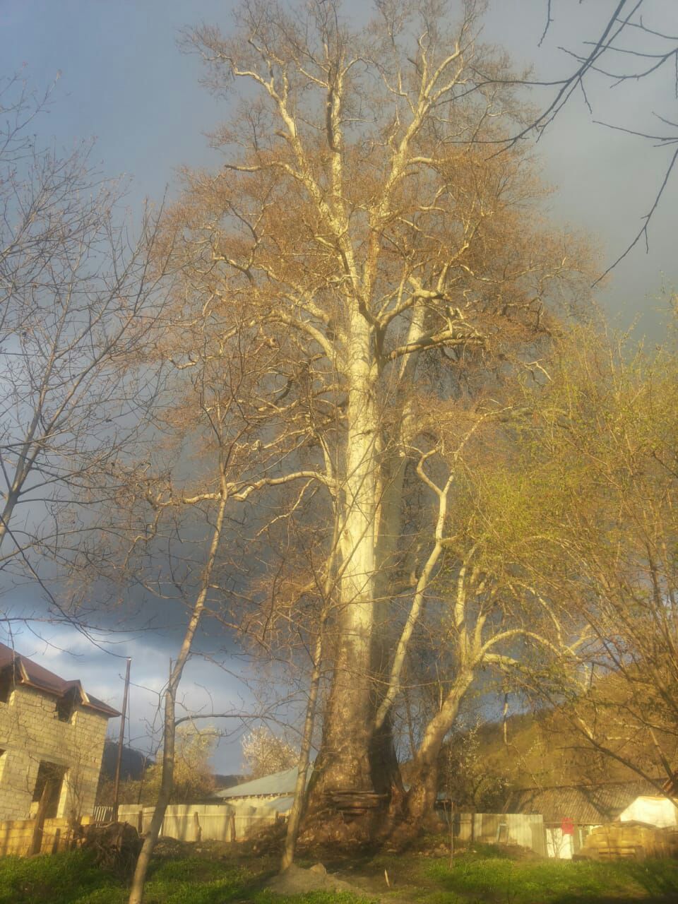 IMG-20180406-WA0007.jpg