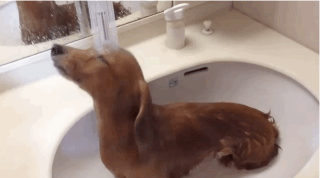 anigif_enhanced-23195-1412193966-10.gif